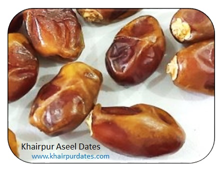 Khairpur Aseel Dates Pakistan