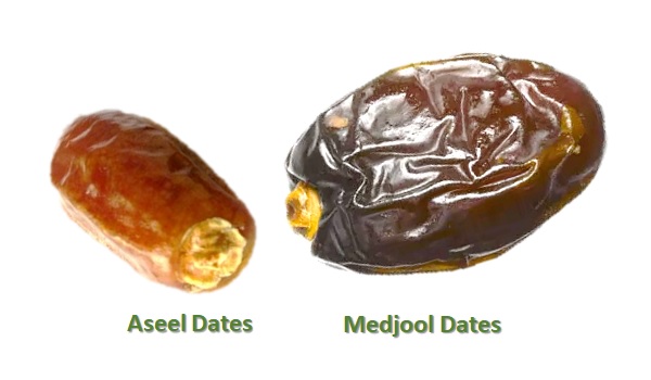 Medjool Dates Vs Aseel Dates