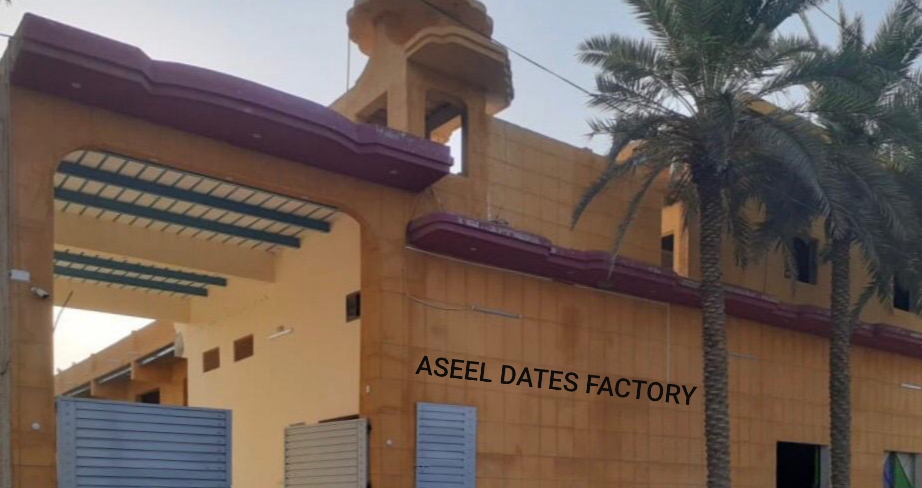 Aseel Dates Factory Khairpur